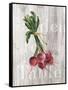 Market Vegetables III on Wood-Silvia Vassileva-Framed Stretched Canvas