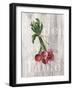 Market Vegetables III on Wood-Silvia Vassileva-Framed Art Print