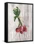 Market Vegetables III on Wood-Silvia Vassileva-Framed Stretched Canvas