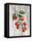 Market Vegetables IV on Wood-Silvia Vassileva-Framed Stretched Canvas