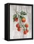 Market Vegetables IV on Wood-Silvia Vassileva-Framed Stretched Canvas