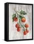 Market Vegetables IV on Wood-Silvia Vassileva-Framed Stretched Canvas