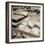 Marketplace #28-Alan Blaustein-Framed Photographic Print