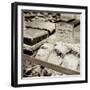 Marketplace #28-Alan Blaustein-Framed Photographic Print