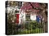 Markham Square, Chelsea, London, England, UK-Mark Mawson-Stretched Canvas