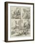 Markhar-Shooting in the Kajnag Mountains of Cashmere-null-Framed Giclee Print