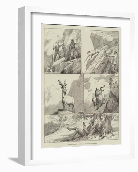 Markhar-Shooting in the Kajnag Mountains of Cashmere-null-Framed Giclee Print