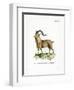 Markhor-null-Framed Premium Giclee Print