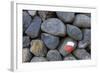 Marking for Hikers on a Stone Wall, La Palma, Canary Islands, Spain, Europe-Gerhard Wild-Framed Photographic Print