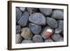 Marking for Hikers on a Stone Wall, La Palma, Canary Islands, Spain, Europe-Gerhard Wild-Framed Photographic Print