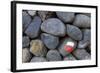 Marking for Hikers on a Stone Wall, La Palma, Canary Islands, Spain, Europe-Gerhard Wild-Framed Photographic Print