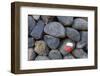 Marking for Hikers on a Stone Wall, La Palma, Canary Islands, Spain, Europe-Gerhard Wild-Framed Photographic Print