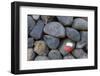 Marking for Hikers on a Stone Wall, La Palma, Canary Islands, Spain, Europe-Gerhard Wild-Framed Photographic Print