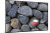 Marking for Hikers on a Stone Wall, La Palma, Canary Islands, Spain, Europe-Gerhard Wild-Mounted Photographic Print