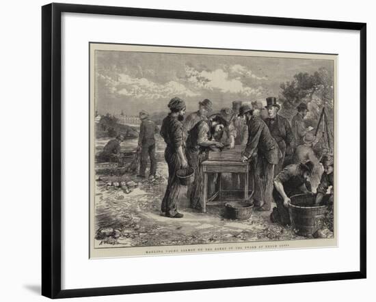 Marking Young Salmon on the Banks of the Tweed at Heugh Shiel-Henry Woods-Framed Giclee Print