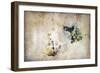 Marks on the Wall-Kari Taylor-Framed Premium Giclee Print