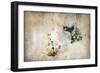 Marks on the Wall-Kari Taylor-Framed Premium Giclee Print