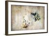 Marks on the Wall-Kari Taylor-Framed Giclee Print