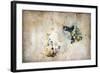 Marks on the Wall-Kari Taylor-Framed Giclee Print