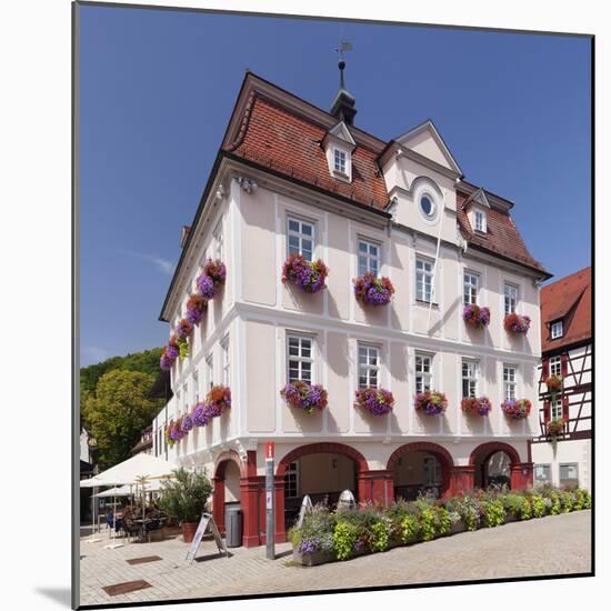 Marktplatz (square) with city hall, Nagold, Black Forest, Baden-Wurttemberg, Germany-Markus Lange-Mounted Photographic Print