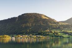 View on Burg Wildenstein Castle and Danube Valley in Autumn-Markus-Framed Photographic Print