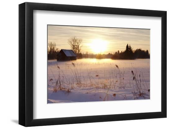 Premium Photographic Print, , large