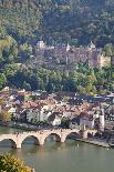 Old Town with Stiftskirche Church and the Neckar River-Markus-Photographic Print