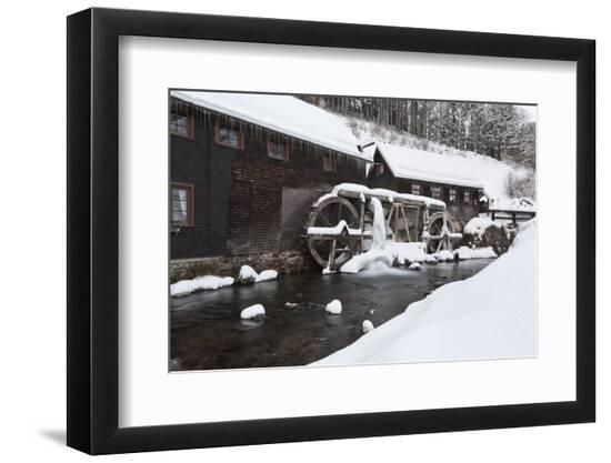 Photographic Print, , large