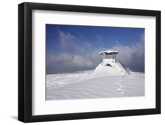 Premium Photographic Print, , large