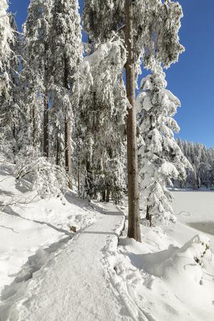 Mummelsee Lake in winter, Black Forest, Baden Wurttemberg, Germany, Europe