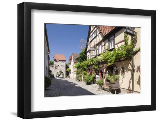 Premium Photographic Print, , large
