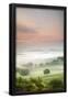 Essential Black