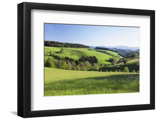 Premium Photographic Print, , large