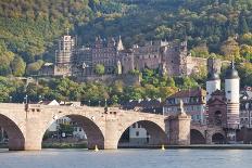 Neckar River with Karl Theodor Bridge-Markus-Photographic Print