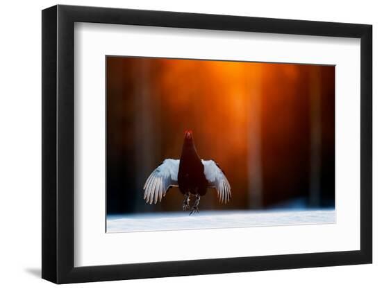 Photographic Print, , large