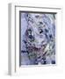 Marlene Dietrich (1901-92)-Stephen Finer-Framed Giclee Print