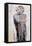 Marlene Dietrich (1901-92)-Stephen Finer-Framed Stretched Canvas