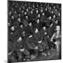 Marlene Dietrich with Back Turned on Audience of Servicemen during Her Mental Telepathy Act-George Silk-Mounted Premium Photographic Print