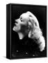 Marlene Dietrich-null-Framed Stretched Canvas