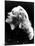 Marlene Dietrich-null-Mounted Photo