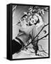 Marlene Dietrich-null-Framed Stretched Canvas