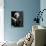 Marlene Dietrich-null-Photographic Print displayed on a wall