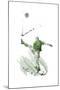 Wood Mount