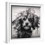 Marley-Sasha-Framed Giclee Print