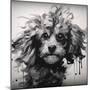 Marley-Sasha-Mounted Giclee Print