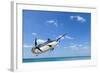 Marlin - Swordfish,Sailfish Saltwater Fish (Istiophorus) Isolated on Sea and Sky Background-PK Phuket studio-Framed Photographic Print