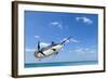 Marlin - Swordfish,Sailfish Saltwater Fish (Istiophorus) Isolated on Sea and Sky Background-PK Phuket studio-Framed Photographic Print