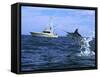 Marlin with Fishing Boat in Background-null-Framed Stretched Canvas