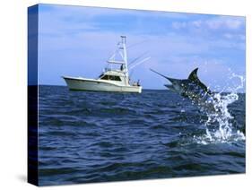 Marlin with Fishing Boat in Background-null-Stretched Canvas