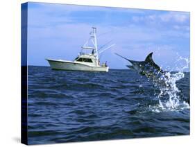 Marlin with Fishing Boat in Background-null-Stretched Canvas